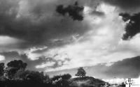 © Bellas Classic Photo
