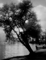 © Bellas Classic Photo