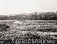© Bellas Classic Photo